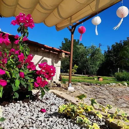 Kır Evi Louro's - 12130al *