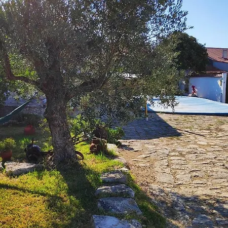 Louro's - 12130al * Cantanhede